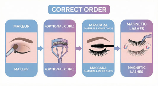 “Correct order” graphic  Makeup → (optional curl) → mascara (natural lashes only) → magnetic lashes